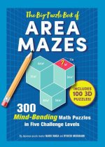 Big Puzzle Book of Area Mazes