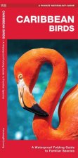 Caribbean Birds/Aves Caribenas: A Folding Pocket Guide to Familiar Species/Una Guia Plegable Portatil de Especies Conocidas