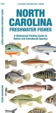 North Carolina Freshwater Fishes: A Waterproof Folding Guide to Native and Introduced Species