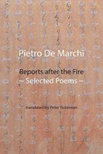 Reports after the Fire