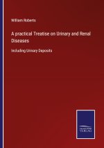 practical Treatise on Urinary and Renal Diseases
