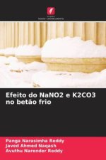 Efeito do NaNO2 e K2CO3 no bet?o frio