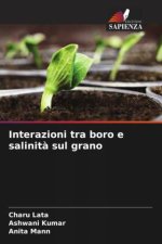 Interazioni tra boro e salinit? sul grano