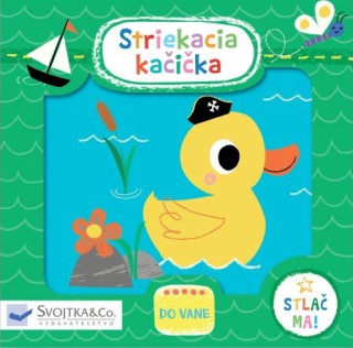 Striekacia kaďż˝iďż˝ka