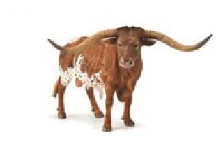 Texas Longhom Bull