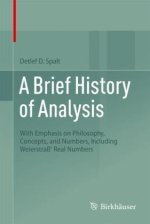 Brief History of Analysis