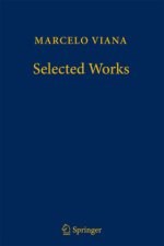 Marcelo Viana - Selected Works