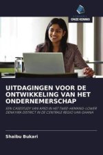 UITDAGINGEN VOOR DE ONTWIKKELING VAN HET ONDERNEMERSCHAP