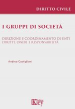 gruppi di società. Direzione e coordinamento di enti. Diritti, oneri e responsabilità