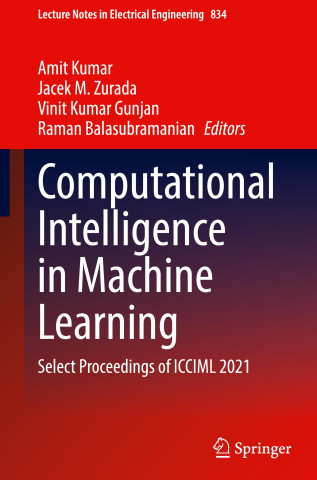 Computational Intelligence in Machine Learning