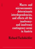 Macro- and microeconomic determinants, interdependencies, and effect of the insolvency- and insolvency contingency scene in Austria
