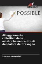 Atteggiamento collettivo delle ostetriche nei confronti del dolore del travaglio