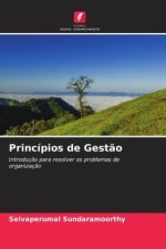 Princípios de Gest?o