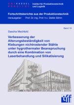 Verbesserung der Alterungsbeständigkeit von Klebungen nichtrostender Stähle unter hygrothermaler Beanspruchung durch eine Kombination von Laserbehandl
