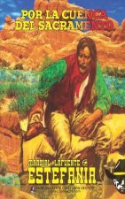 Por la cuenca del Sacramento (Coleccion Oeste)