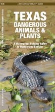 Texas Dangerous Animals & Plants: A Folding Pocket Guide to Dangerous Species