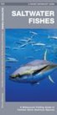 Saltwater Fishes: A Waterproof Folding Guide to Familiar North American Species