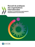 Recueil de Pratiques Des Organisations Internationales Oeuvrer A l'Elaboration d'Instruments Internationaux Plus Efficaces