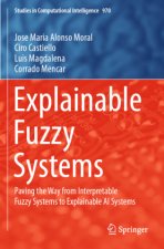 Explainable Fuzzy Systems