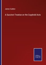 Succinct Treatise on the Copyhold Acts
