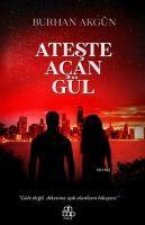 Ateste Acan Gül