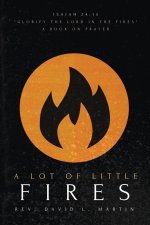 Lot Of Little Fires