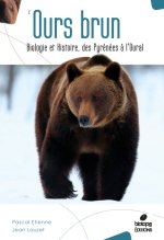 L'Ours Brun