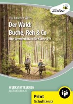 Der Wald: Buche, Reh & Co, m. 1 CD-ROM, m. 1 Beilage