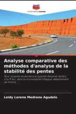 Analyse comparative des méthodes d'analyse de la stabilité des pentes