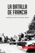 batalla de Francia