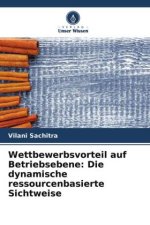 Wettbewerbsvorteil auf Betriebsebene: Die dynamische ressourcenbasierte Sichtweise