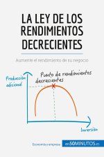 ley de los rendimientos decrecientes