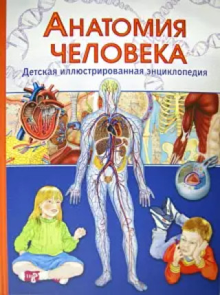 Анатомия человека. Детская иллюстрированная энциклопедия