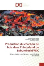 Production du charbon de bois dans l?hinterland de Lubumbashi/RDC