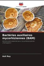 Bactéries auxiliaires mycorhiziennes (BAM)