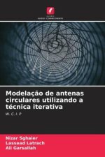 Modelaç?o de antenas circulares utilizando a técnica iterativa