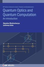 Quantum Optics and Quantum Computation
