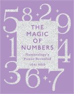 Magic of Numbers: Numerology's Power Revealed