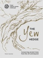 Yew Hedge