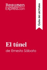 tunel de Ernesto Sabato (Guia de lectura)