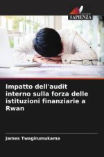Impatto dell'audit interno sulla forza delle istituzioni finanziarie a Rwan