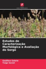 Estudos de Caracterizaç?o Morfológica e Avaliaç?o do Sorgo