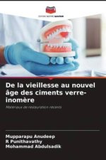 De la vieillesse au nouvel âge des ciments verre-inom?re