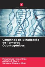Caminhos de Sinalizaç?o de Tumores Odontog?nicos