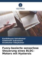 Fuzzy-basierte sensorlose Steuerung eines BLDC-Motors mit Hystersis