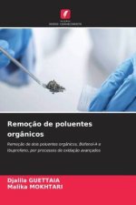 Remoç?o de poluentes orgânicos