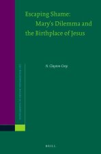 Escaping Shame: Mary's Dilemma and the Birthplace of Jesus