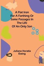 Flat Iron for a Farthing or Some Passages in the Life of an only Son