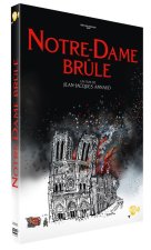 Notre-Dame brûle