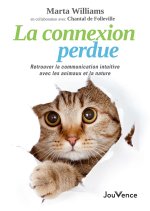 La connexion perdue
